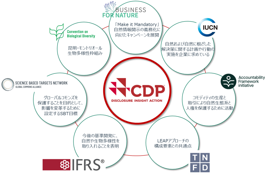 他イニシアチブとの関連性